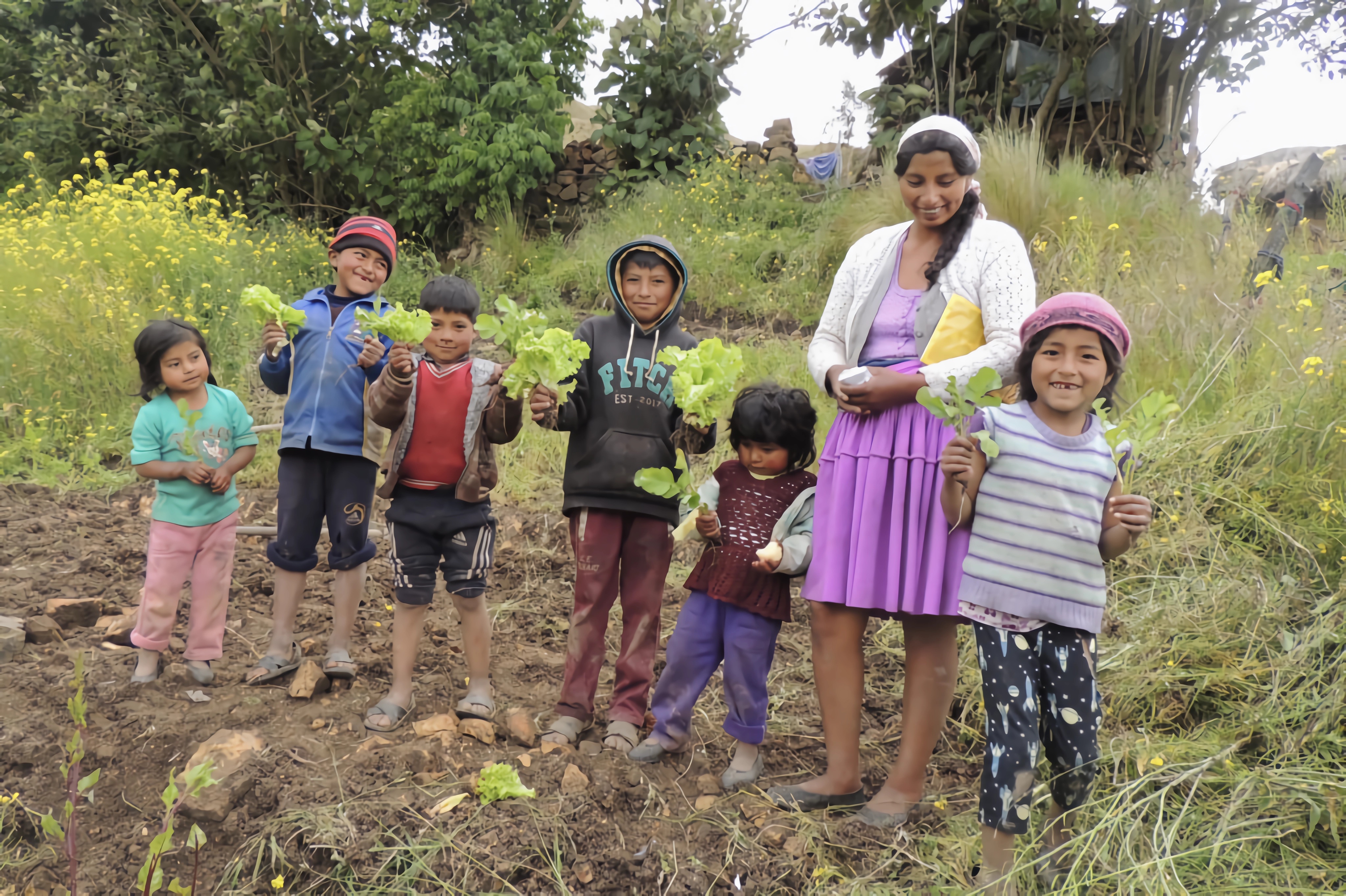Convocatoria para contribuciones de análisis y perspectivas : Tejiendo resiliencia y resistencia